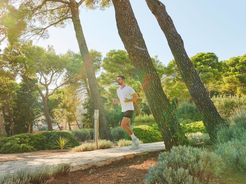 Bluesun Borak 41 - Sports and leisure