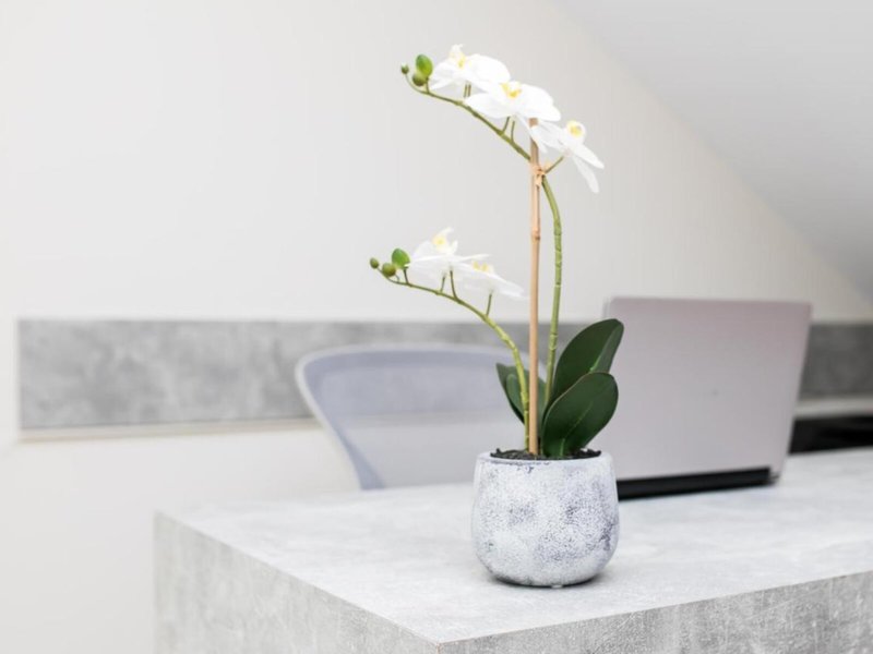 Gmare Studios And Apartments 10