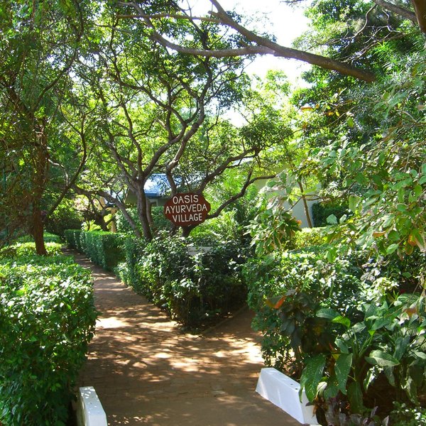 The Oasis Ayurveda Beach Hotel 4