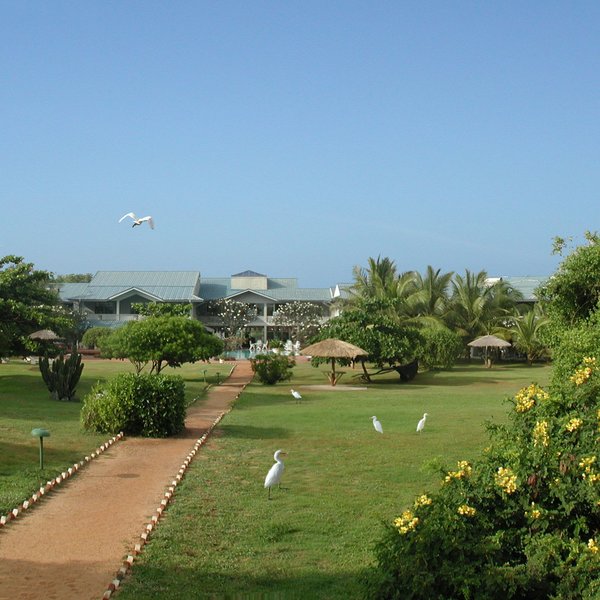 The Oasis Ayurveda Beach Hotel 15