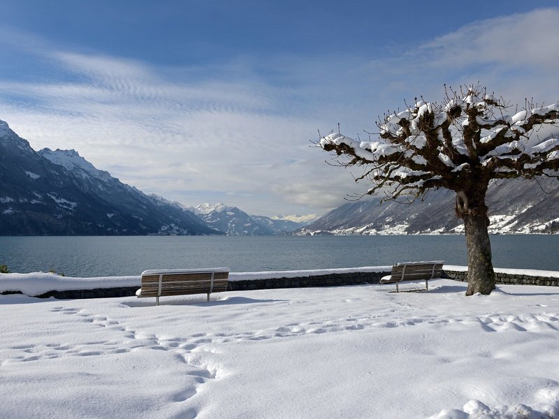Brienz 7