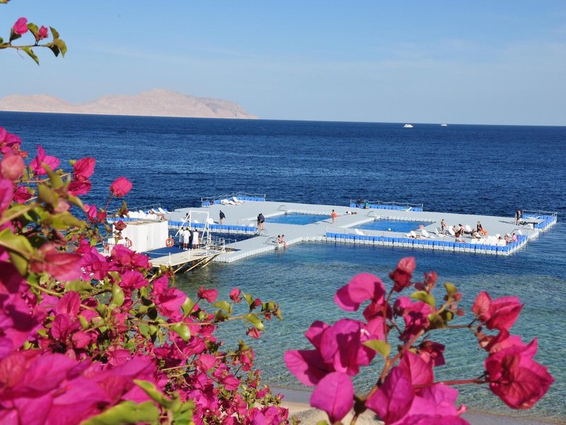 Domina Coral Bay Oasis Resort 7