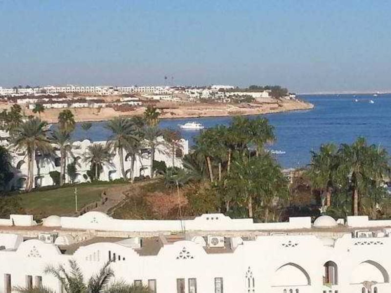 Domina Coral Bay Oasis Resort 8