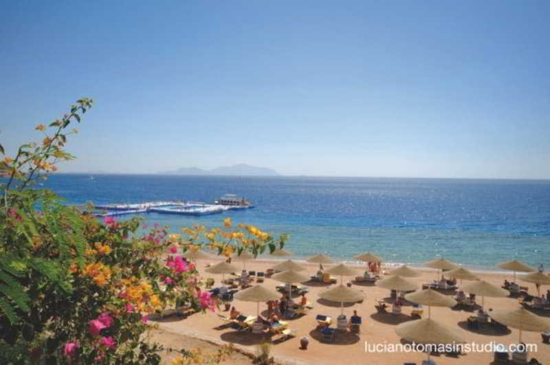 Domina Coral Bay Oasis Resort 3