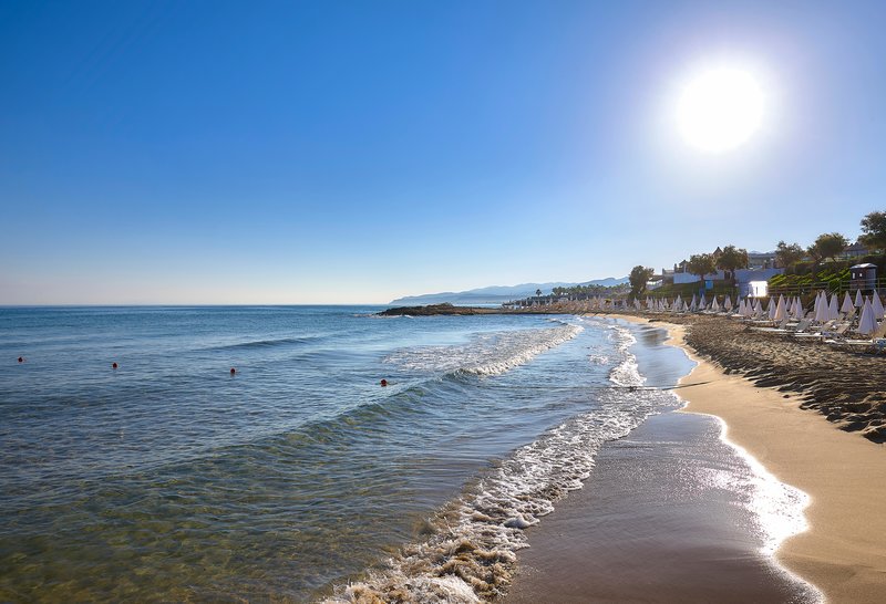 Alexander Beach Hotel & Village 39