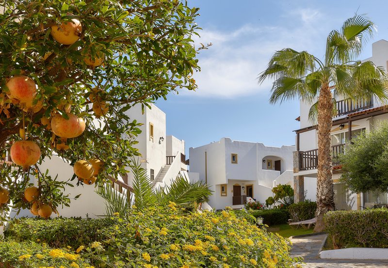 Alexander Beach Hotel & Village Resort 21