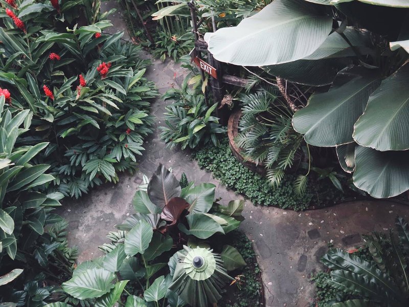 Shewe Wana Boutique Resort & Spa 6