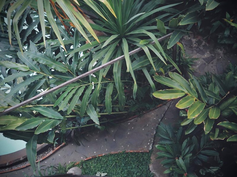 Shewe Wana Boutique Resort & Spa 7