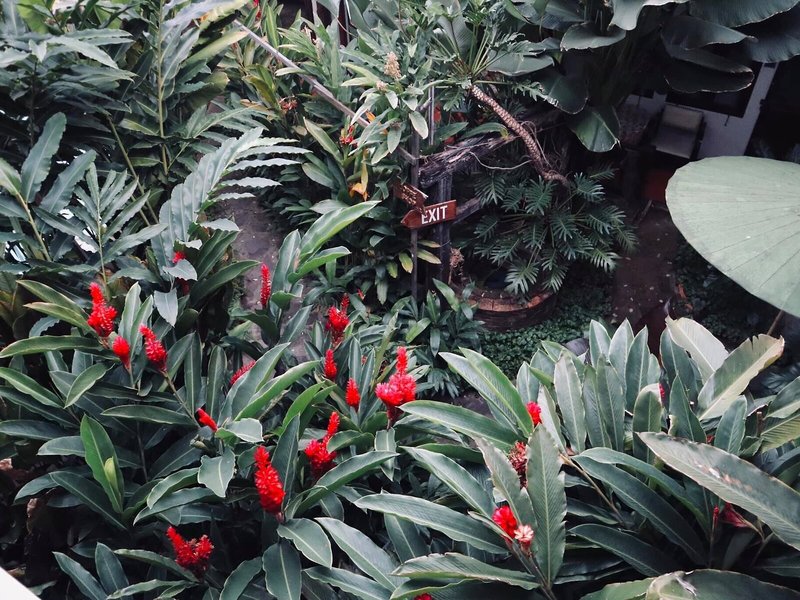 Shewe Wana Boutique Resort & Spa 8