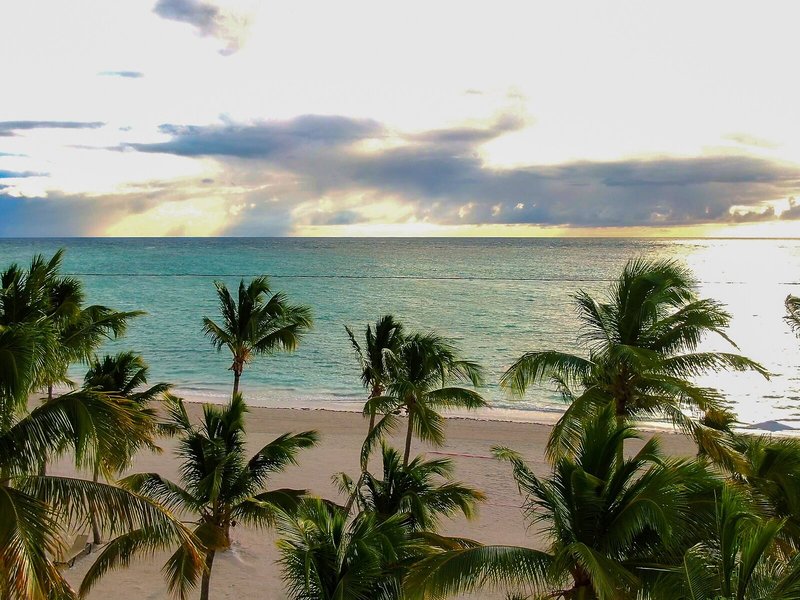 Hyatt Zilara Cap Cana 10