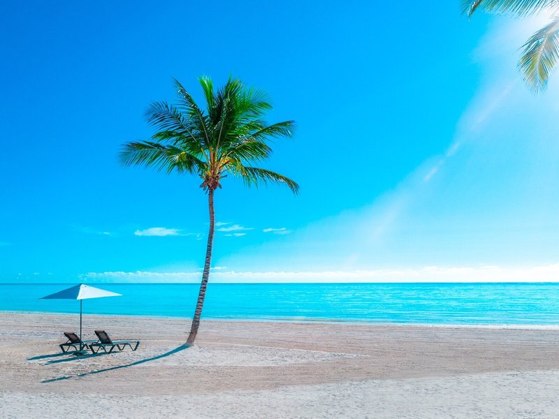 Hyatt Zilara Cap Cana 12