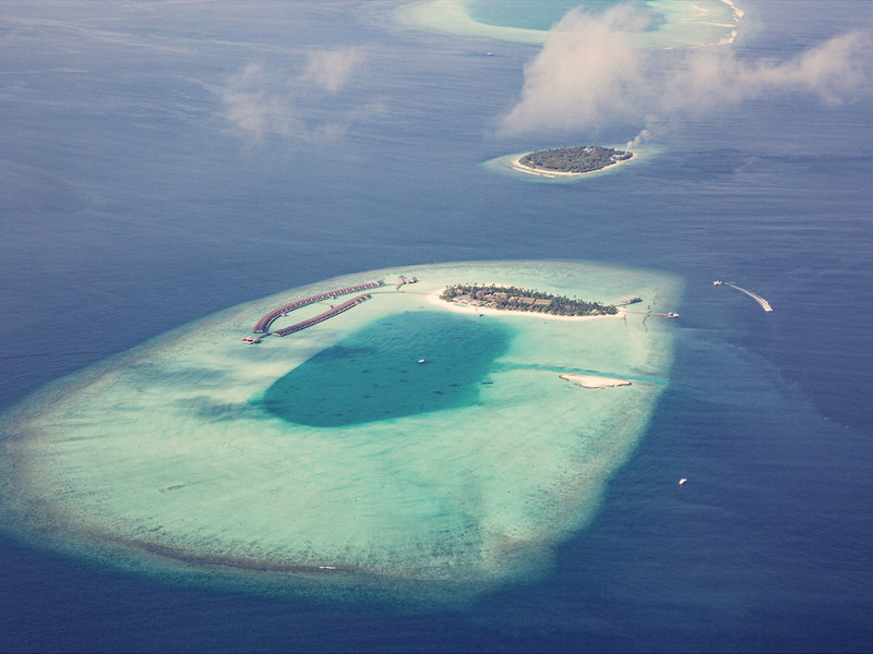 Carpe Diem Beach Resort & Spa 5