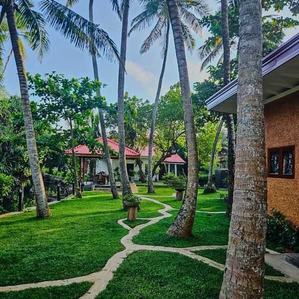 Hiru Aadya Ayurveda Retreat 17