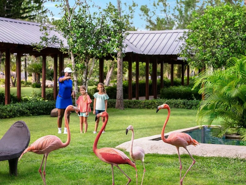 Hilton La Romana Resort & Water Park 4