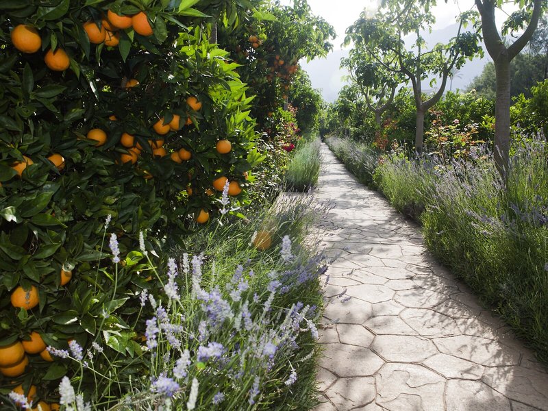 Finca Ca´s Curial 14