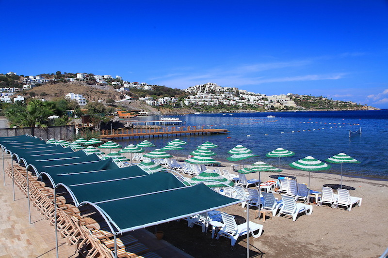 Cactus Fleur Beach Club 2