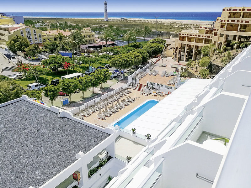 Fergus Cactus Garden 3