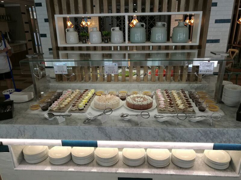 Fergus Cactus Garden 5