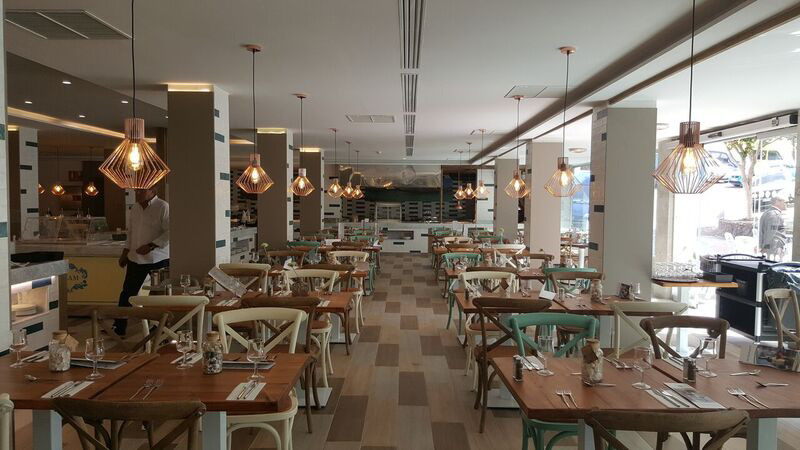 Fergus Cactus Garden 6