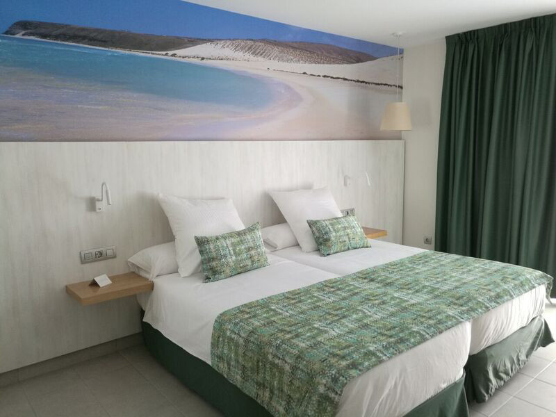 Fergus Cactus Garden 10