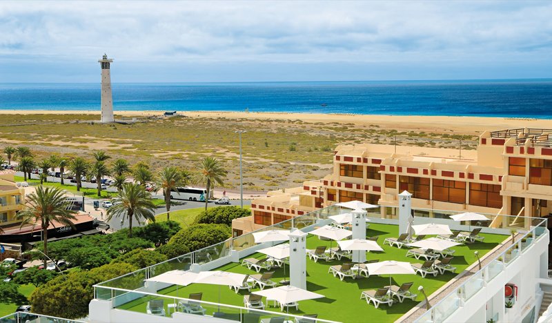 Lemon & Soul Cactus Garden  1