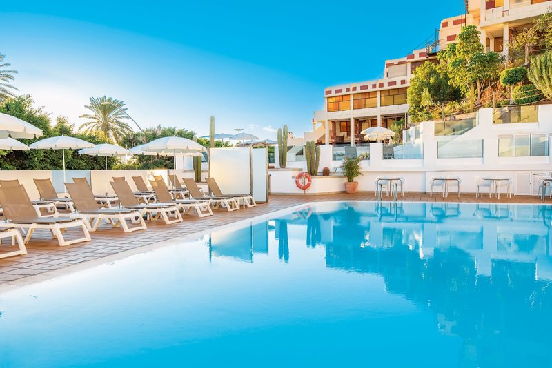 Lemon & Soul Cactus Garden  8