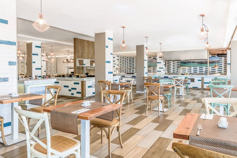 Lemon & Soul Cactus Garden  10