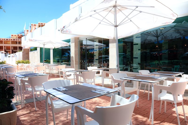 Lemon & Soul Cactus Garden  12