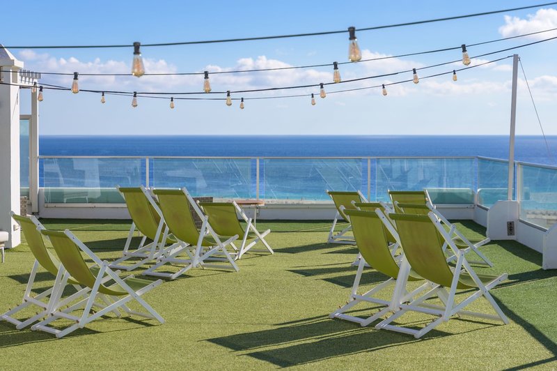 Lemon & Soul Cactus Garden  13