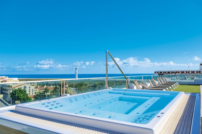 Lemon & Soul Cactus Garden  14