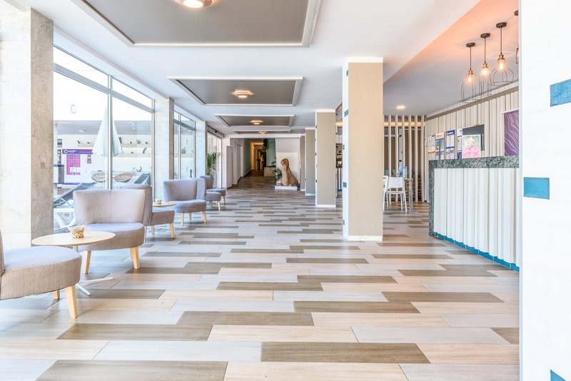 Lemon & Soul Cactus Garden  15