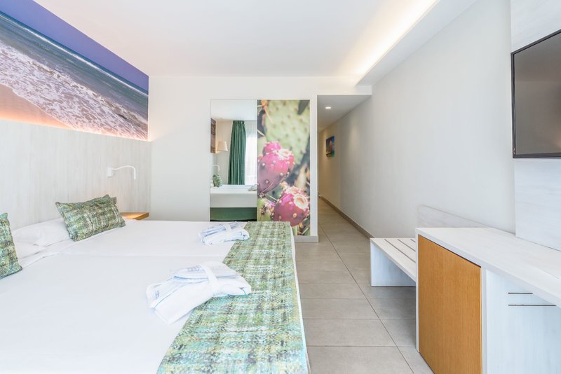 Lemon & Soul Cactus Garden  26