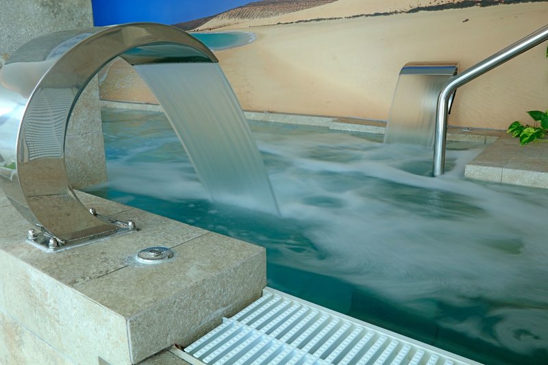 Lemon & Soul Cactus Garden  30