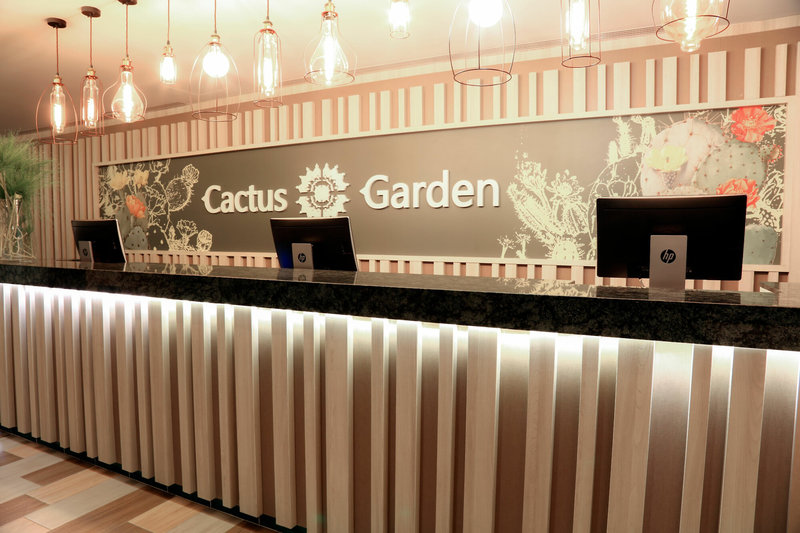 Fergus Cactus Garden 4