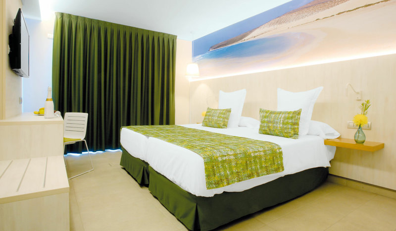 Fergus Cactus Garden 5