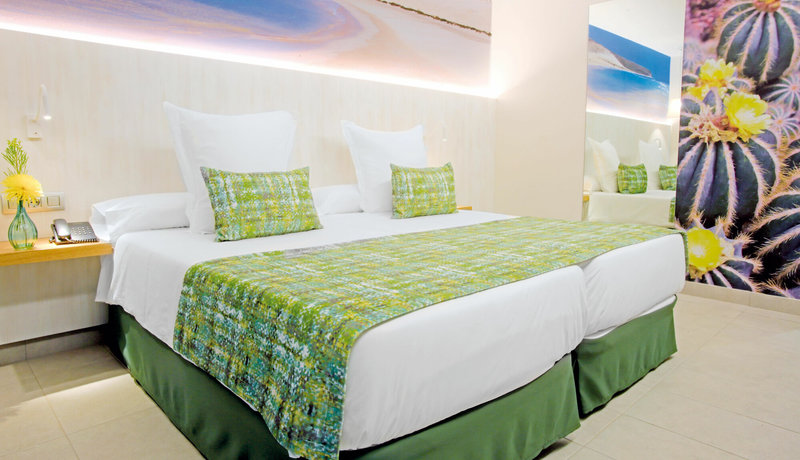 Fergus Cactus Garden 9