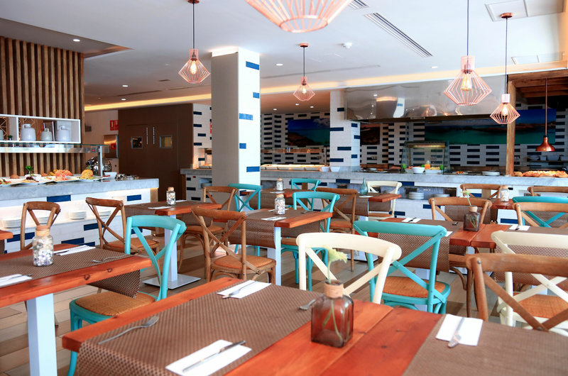 Fergus Cactus Garden 11