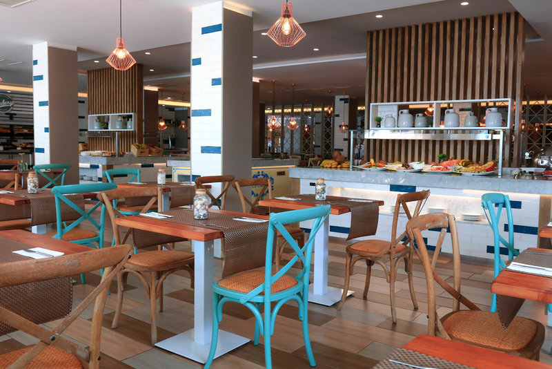 Fergus Cactus Garden 12