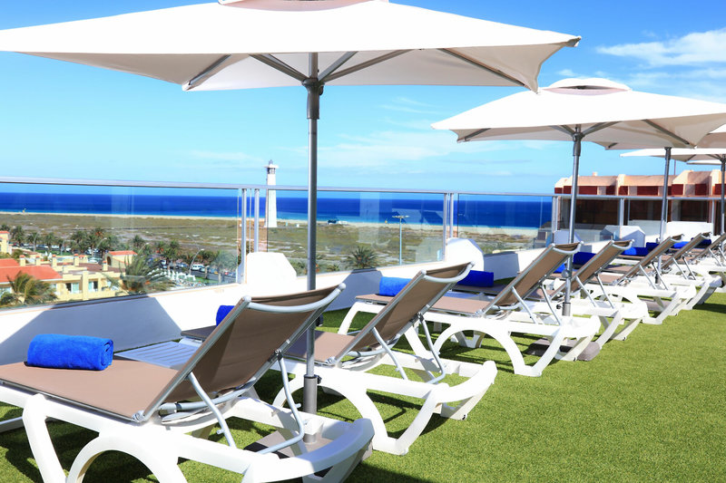 Fergus Cactus Garden 13