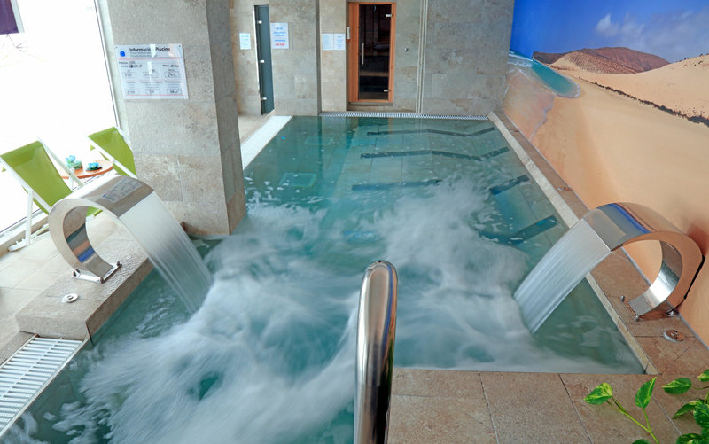 Fergus Cactus Garden 15