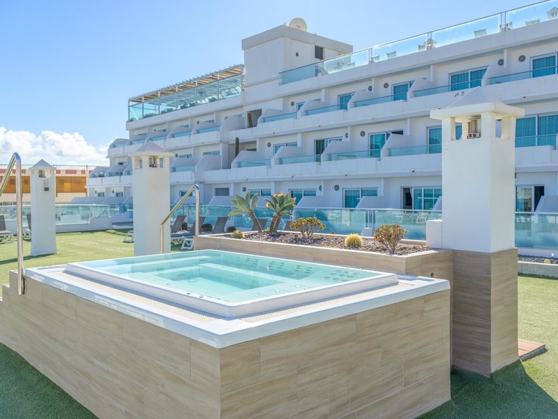 Lemon & Soul Cactus Garden  7