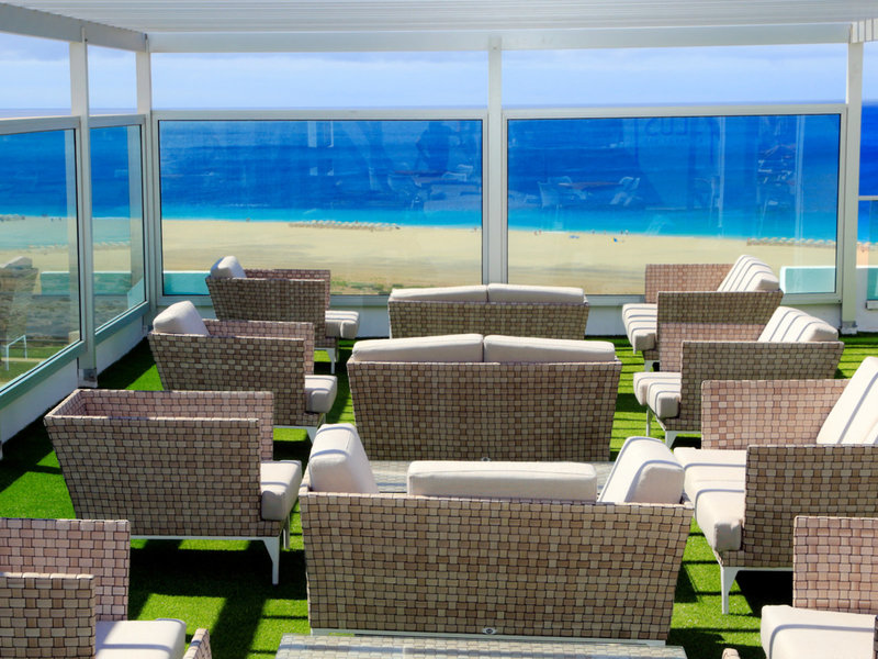 Lemon & Soul Cactus Garden  10