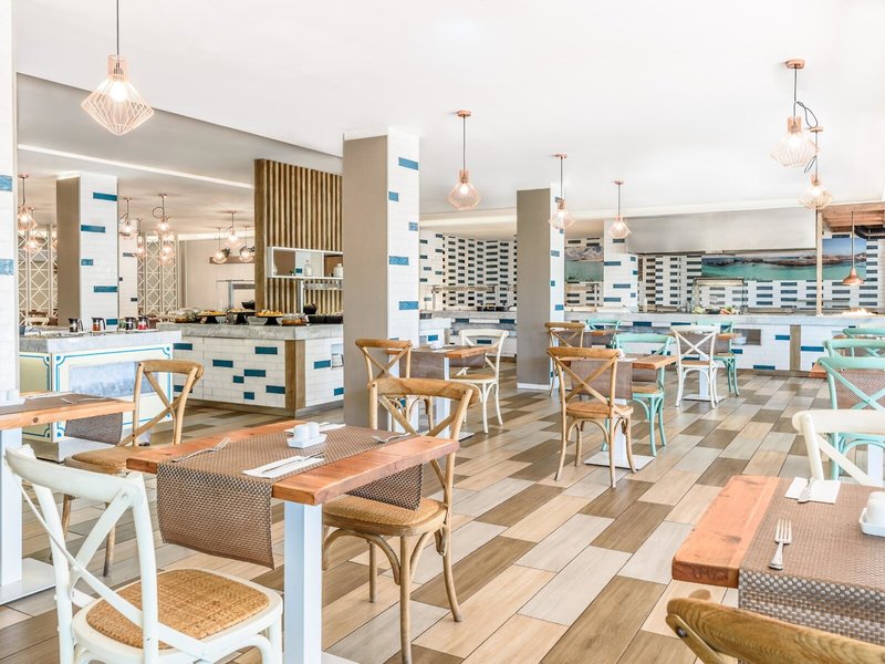 Lemon & Soul Cactus Garden  21