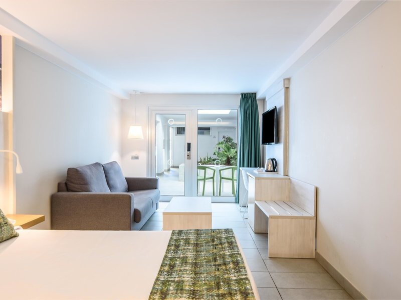 Lemon & Soul Cactus Garden  32