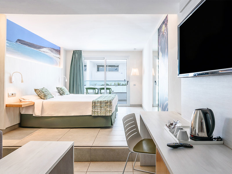 Lemon & Soul Cactus Garden  5