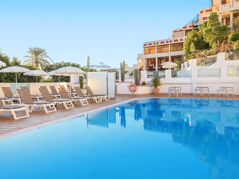 Lemon & Soul Cactus Garden  10