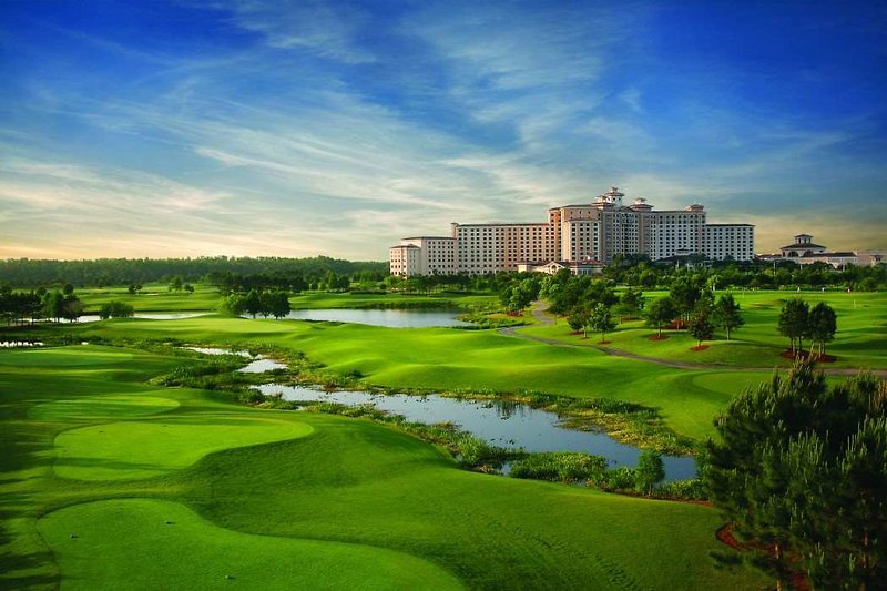 Rosen Shingle Creek 8