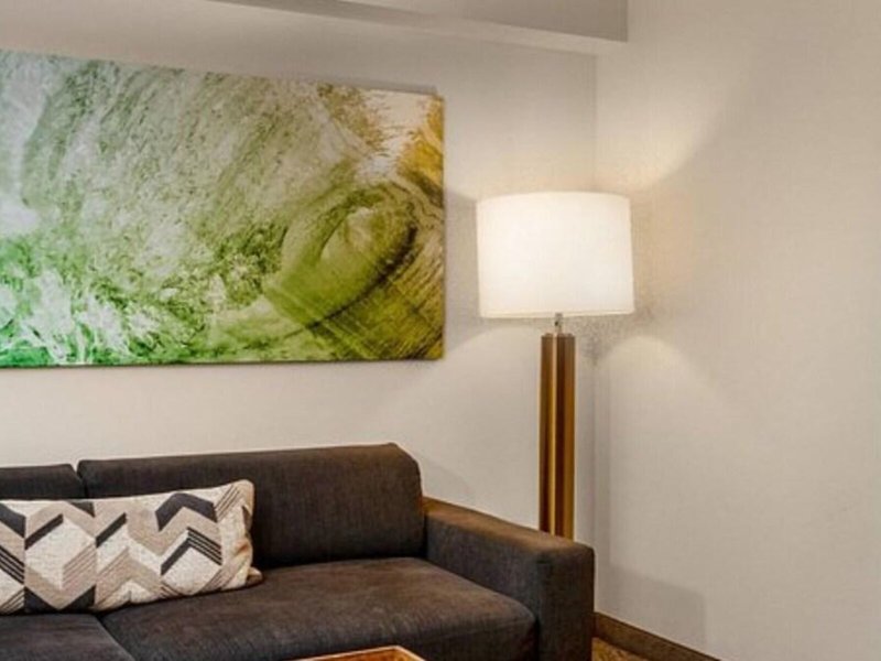 SpringHill Suites Miami Airport South  44