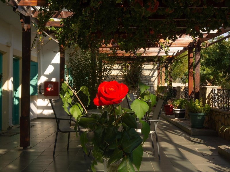 Dimitris Resort Hotel 1