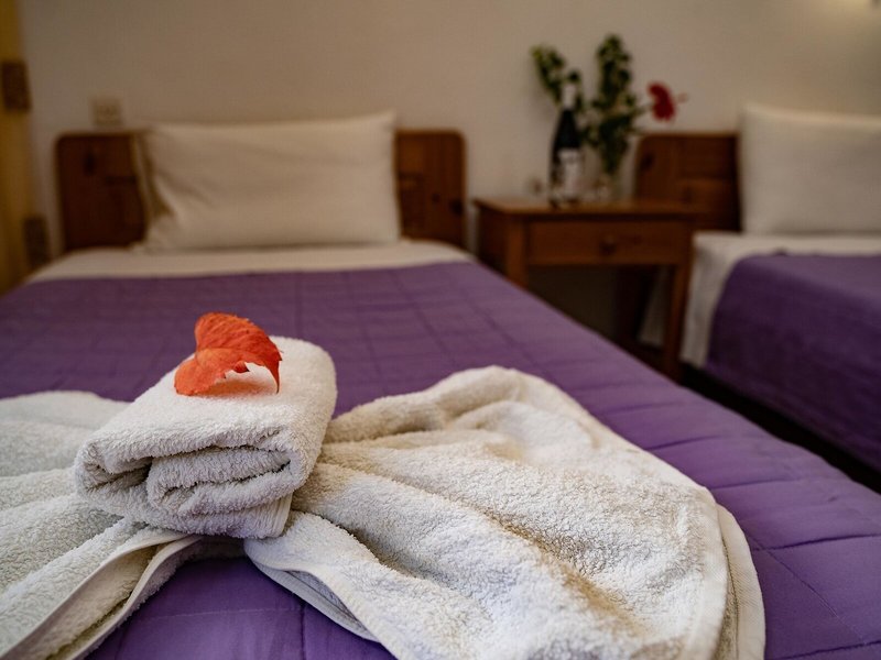 Dimitris Resort Hotel 11